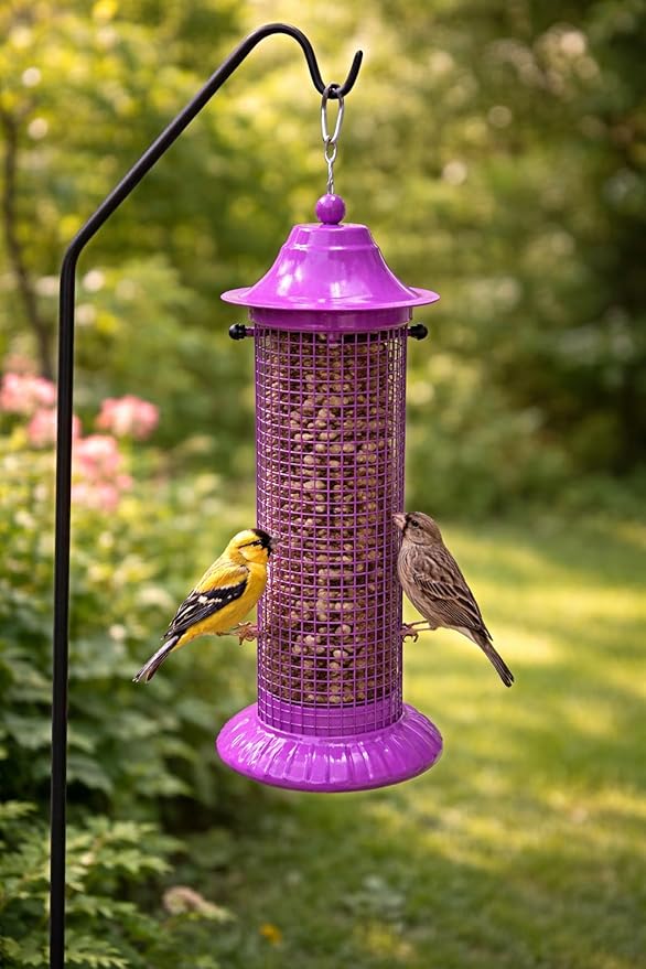 Heath Outdoor Products 21603 Peanut Paradise Feeder