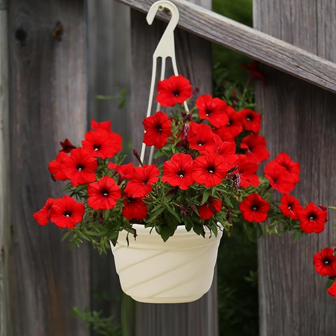 58 Pcs Plastic Hanging Planter Set with 2 Sets Potting Tools, Indoor Outdoor Flower Containers with Hooks Round Hanging Pots for Plants, Balcony and Garden Decor