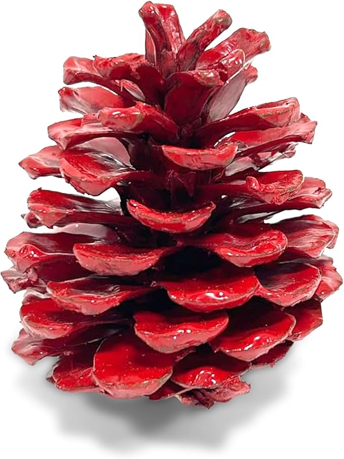 Red Painted Austriaca Pine Cones for Crafts - 2-3 Inch Metallic Pinecones for Christmas Decorating Ornaments Holiday Decor Vase Filler - Rustic Dried Pine Cones - Set of 24 - Red Painted