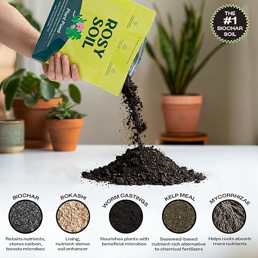 Rosy Soil Houseplant & Cactus Soil + Plant Food Bundle – Peat-Free Indoor Potting Soils + Organic Biochar Plant Food – for Houseplants, Succulents & Cacti – Complete Indoor Plant Care System