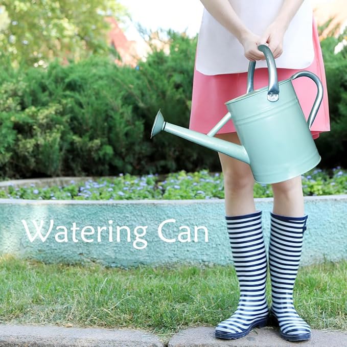 Metal Watering Can 1 Gallon with Removable Spout, Ideal Plant Watering Can for Indoor and Outdoor Plants (One Gallon Creamgreen)