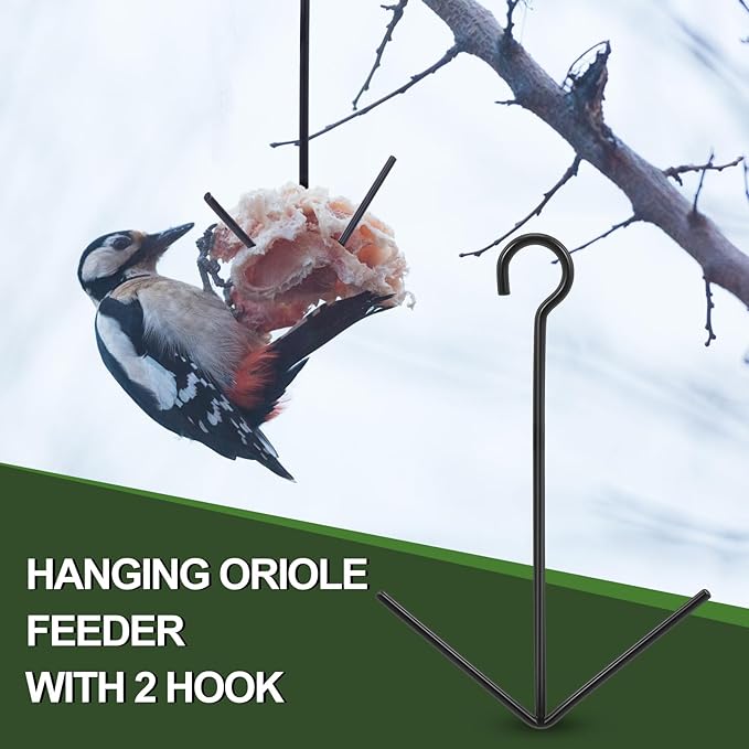 Zonon 2 Pcs Oriole Bird Feeder Hanging Orange Fruit Bird Feeder with Hook Black Fruit Holder for Outdoors Garden Patio (2 Prongs)