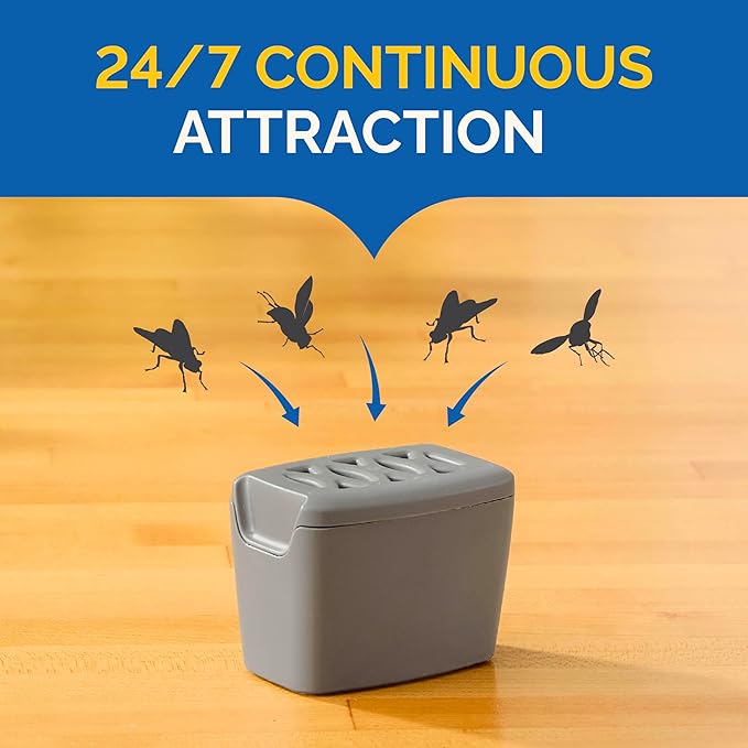 Hot Shot Flying Insect Trap, Discreet, Hassle-Free Trap Attracts, Captures House Flies and Fruit Flies, 24/7 Continuous Attraction, No Plug-in Or Electricity Needed, 1.98 Ounce, 6 Count
