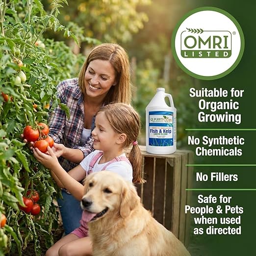 GS Plant Foods Liquid Fish & Kelp Fertilizer – (1 Gallon) Organic Material Review Institute Listed Natural Plant Food for Home Gardens, Lawns, and Vegetables