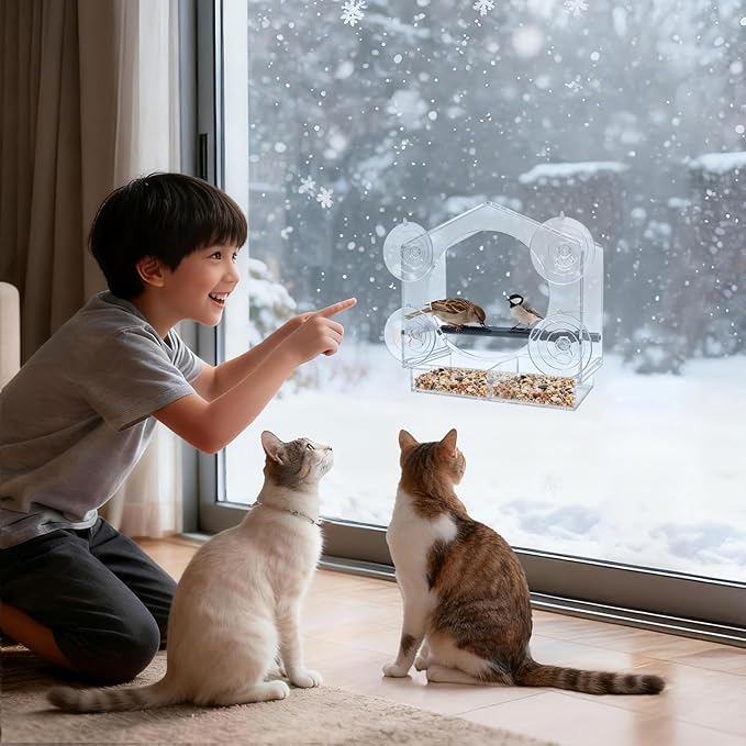 Window Bird Feeder with Non-Marking Self-Adhesive Hooks, 2 pcs Clear and Transparent, Outdoor Wild Bird Watching Gift for Finches, Cardinals (1 Large+1small Acrylic)