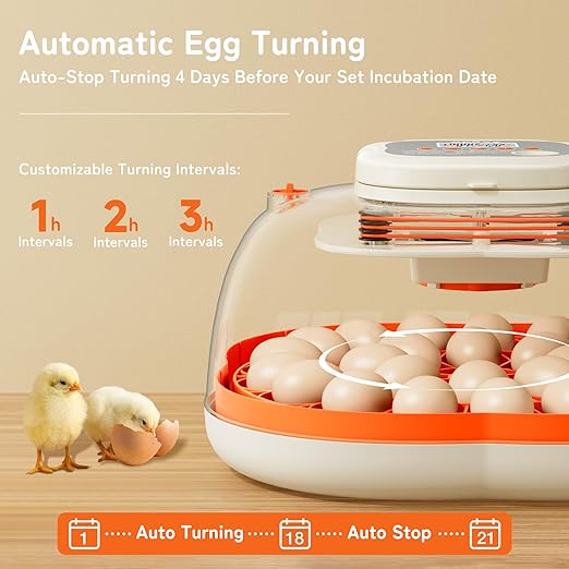 APDOE Egg Incubators for Hatching Eggs, Temperature and Humidity Control, Automatic Egg Turning, Egg Candler, External Water Bottle, Air Vent, for Chicken, Duck & Quail Eggs, 25 Eggs