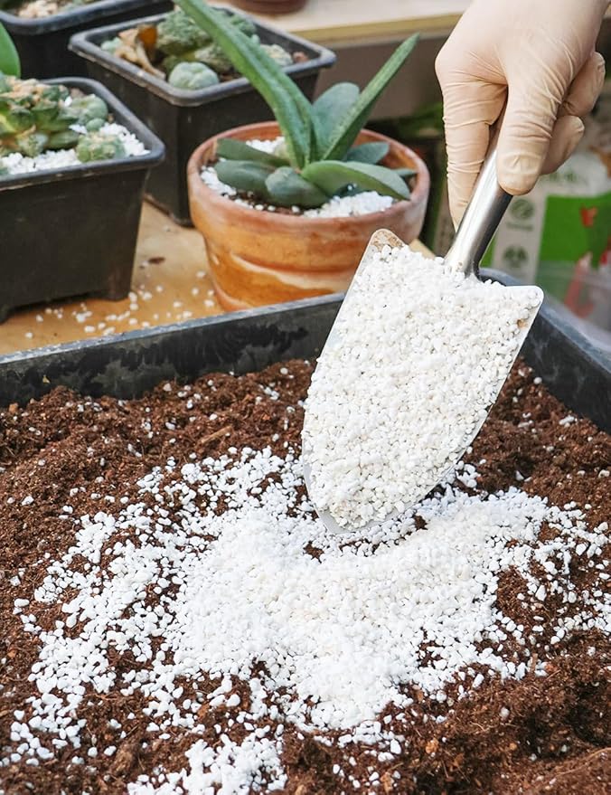 TOYPOPOR Perlite for Plants, 3-6mm Organic Perlite for Gardening, Perlite for Plants Indoor, Soil Additive Conditioner Mix Improve Drainage and Ventilation Promote Root Growth and Soil Health 1qt