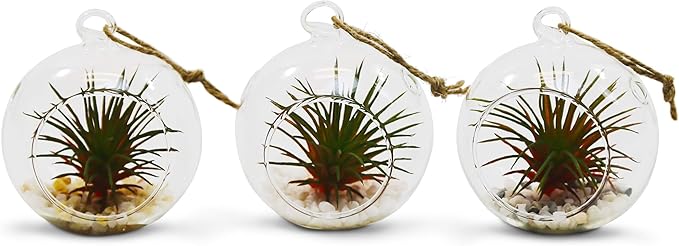 WGV Hanging Terrarium Globe, Width 2.5", Height 3", DIY Air Succulent Planter, Clear Glass Vase Orb with Flat Bottom, Candle Holder for Windowsill Outdoor Garden Decor, 24 Pieces Bulk