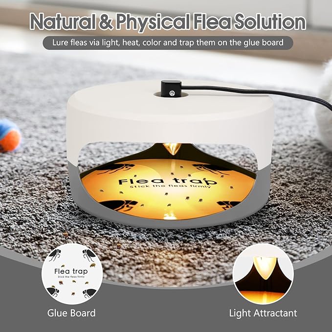 Flea Traps for Inside Your Home, 4 Pack Original Indoor Flea Light Bed Bug Killer w/ 12 Sticky Pads & 12 Light Bulb Refills Replacement, Odorless Insect Infestation Treatment Trap Lamp for Kid Pet