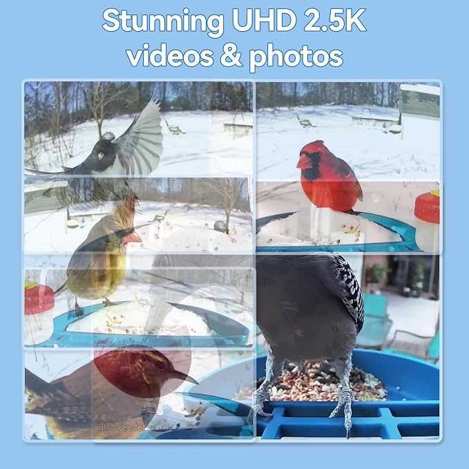 Bird Feeder with Camera Solar Powered,2.5K HD Video Bird House Live View,Smart AI Bird Species Identification for Outside Garden,Birds Bath,Ideal Gift for Birds Lover,Hummingbird (Blue) | Equipped with advanced night vision that captures clear footage ...