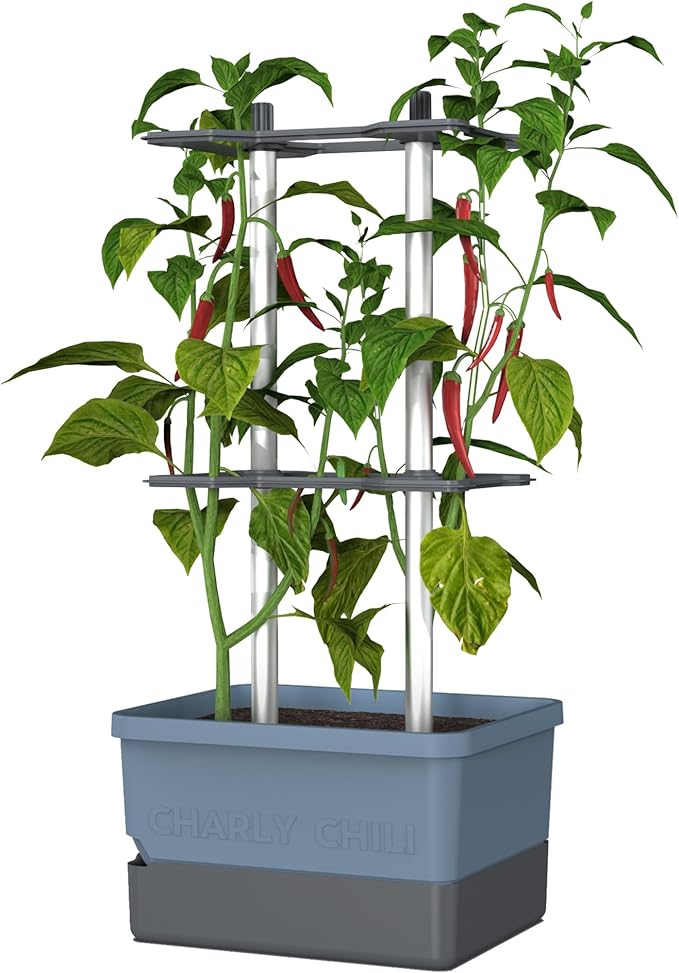 BUZZY Seeds Charly Chili Self-Watering Planter with Vertical Trellis – 1.2 Gal Reservoir, Large Capacity Planter for Chili Peppers, Bell Peppers & Eggplants (Blue)