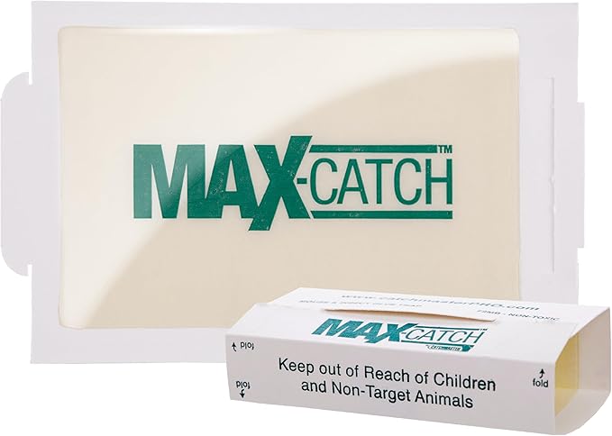 Catchmaster Max-Catch Mouse & Insect Glue Trap 36PK, Mouse Traps Indoor for Home, Sticky Pest Control Adhesive Tray for Catching Bugs, Bulk Unscented Glue Boards