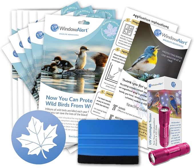 WindowAlert Maple Leaf Large Starter Pack - Bird Strike Prevention Decals (12 Envelopes) with UV Tester Flashlight & Application Squeegee - Made in USA