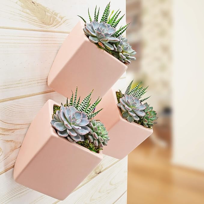 Arcadia Garden Products WP21 Small Cube Wall Planter 3-Pack-Coral
