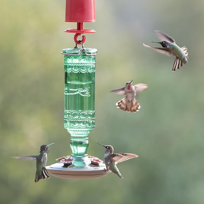 Perky-Pet Glass Bottle Hummingbird Feeder - Outdoor Garden Décor Humming Bird Feeder,8108-1SR - 10 Fl Oz Nectar Capacity - Durable Green Antique Design - Hang from Tree,Porch,Deck,Hook,(Pack of 6)