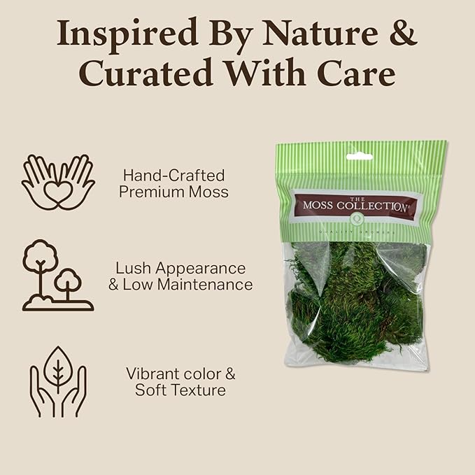 Preserved Mood Moss - Decorative Moss - Dried Moss for Crafts, Home Decor, Art, Design & DIY Projects - for Indoor Use - Natural Green - Medium Size