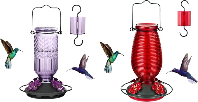 FEED GARDEN Glass Hummingbird Feeder 16 Oz Purple + 20oz Red