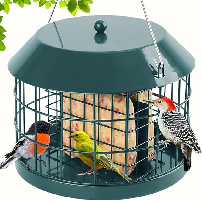 Gbekery Caged Suet Bird Feeder for Outdoors Hanging, Squirrel Proof Double Suet Feeder for Small Birds, Metal Cage with Detachable Hook, Large Space, Outdoors Weatherproof, Green