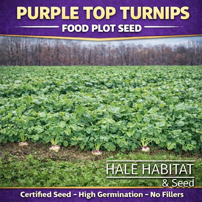 Hale Habitat & Seed Purple Top Turnip Food Plot Seed, 5 lbs