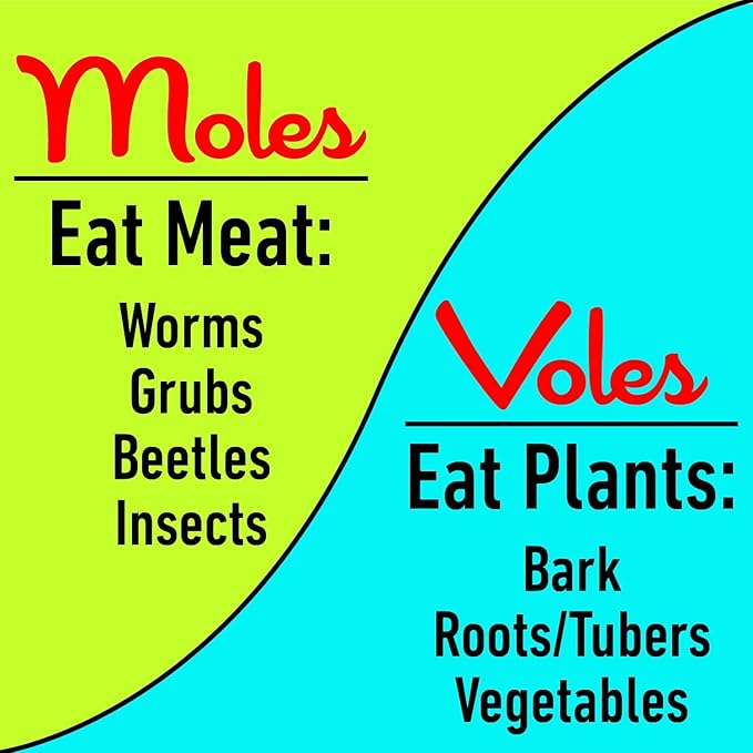 I Must Garden Mole & Vole Repellent: Professional Strength – Twice The Coverage – All Natural Ingredients - Pleasant Scent - 10lb