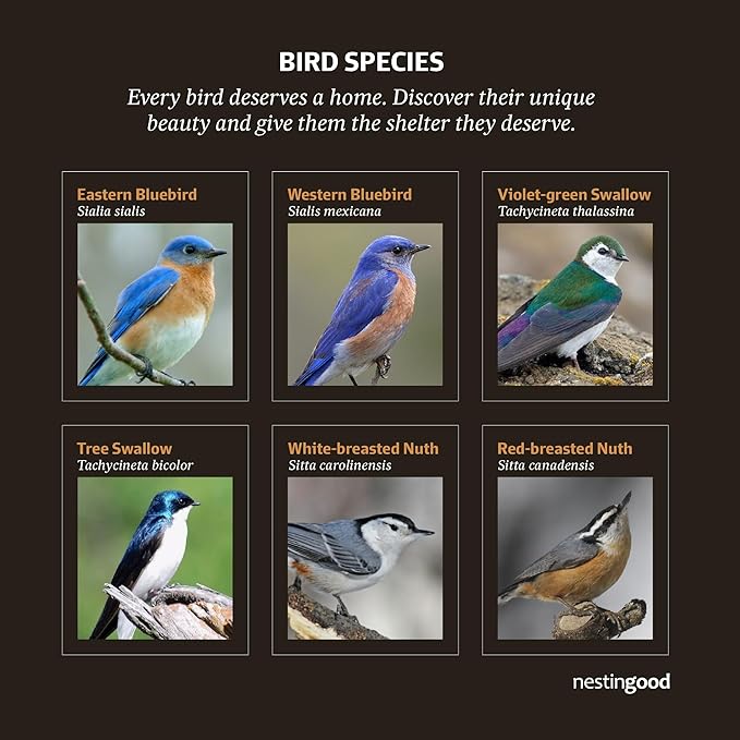 Premium Wooden Bird House Kit – DIY Bluebird Nesting Box with 1.5 Inch Entrance, Outdoor Birdhouse Kits for Adults and Kids, Nature Craft for Garden, Backyard or Patio Projects