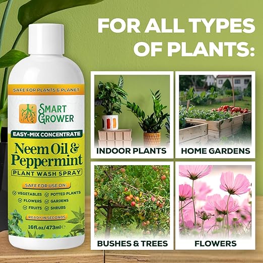 Neem Oil Spray for Plants with Peppermint Oil – for Indoor & Outdoor Plants, Gardens, & Houseplants– Best Value Refill 16 oz Concentrate Makes 2 Gallon RTU