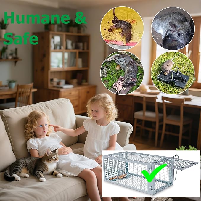 Humane Rat Traps, No Kill Small Animal Cage Trap, Live Mouse Trap Cage Catch and Release, Trampa para Ratones, Chipmunk Rodent Trap that Work for Indoor and Outdoor - 10.6" L x 5.5" W x 4.7" H