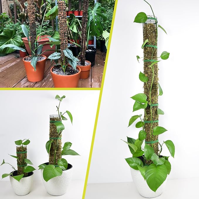 6 Pack Metal Moss Pole, 15" Moss Poles for Plants Monstera, Stackable Sphagnum Moss Pole for Climbing Plants (6 Pack 15")