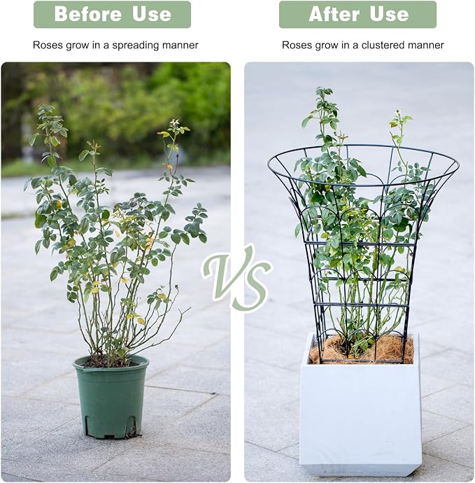 COOOXIM 27.5 x 22 Inches Peony Cages & Supports - Heavy Duty Metal Plant Obelisk Trellis for Outdoor Use, Perfect for Peonies, Roses, and Climbing Vines - Durable Garden Support Ring in M Shape