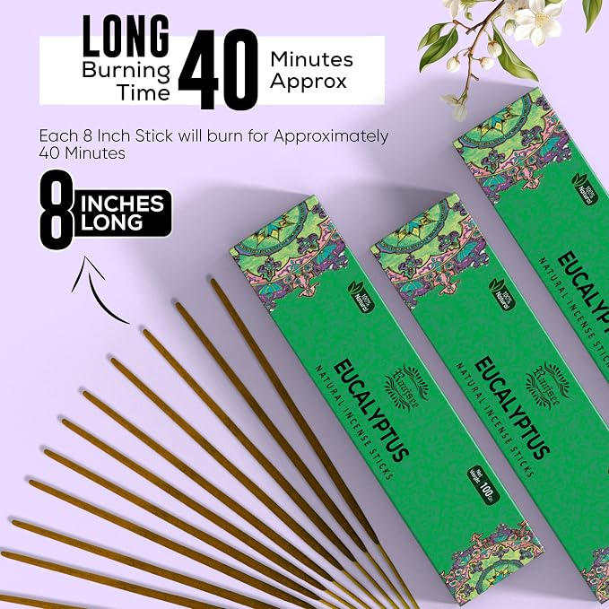 Raajsee Incense Sticks – Eucalyptus (180 gm), 100% Pure Organic Natural Hand Rolled Free from Chemicals - Perfect for Aromatherapy, Cleansing, Meditation, and Church (Pack of 12)