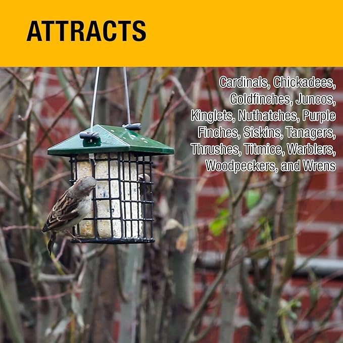 Heath Outdoor Products Berry All Season No Mess Suet Cake Birders Pack, Food for Woodpeckers, Cardinals, Siskins, Sparrows, Finch's & Many More Wild Birds & More - 10oz Suet Feeder, (Pack of 16)