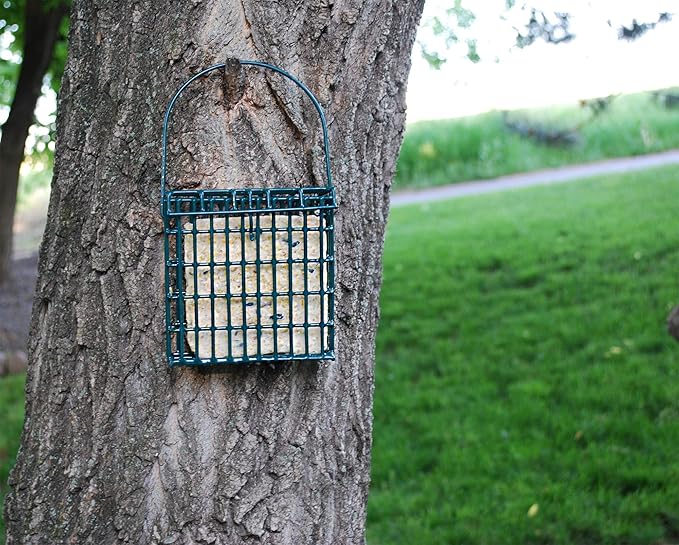 Wildlife Sciences Suet Cake 12 Packs (Sunflower Blend)