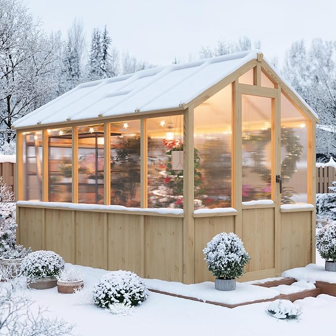 6x10 FT Greenhouse - Large Wooden Greenhouses for Outdoors, Heavy Duty Spruce Frame Greenhouse with PC Panels, Adjustable Roof Vents & Lockable Door, Walk-in Green Houses for Garden, Backyard, Patio