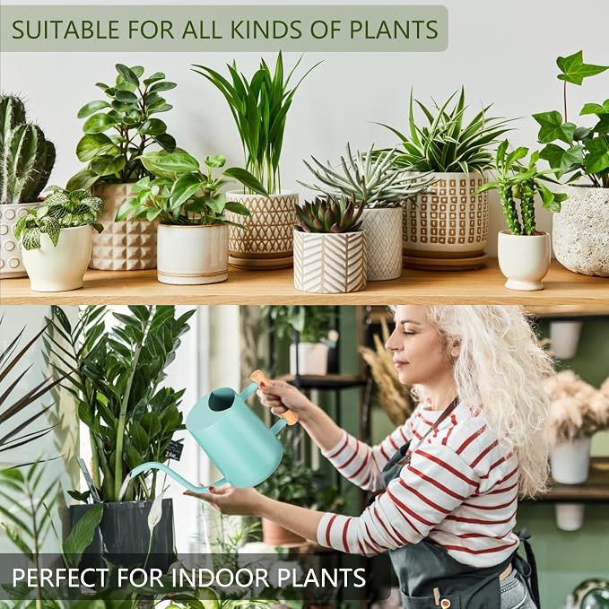 Watering Can Indoor Plants, 35oz Small Indoor Stainless Steel Metal Watering Can Modern Decorative Watering Pot with Long Spout for Indoor House Plant Bonsai Outdoor Garden Flowers Green