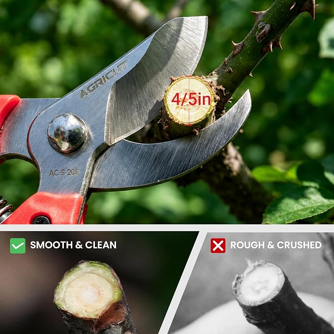 AGRICUT 7" Pruning Shears Heavy Duty Professional, Made of Japanese SK5 Steel Blades, 4/5 Cut Capacity, Bypass Hand Pruners Garden Clippers for Tree Flower Branch Trimming, S20E