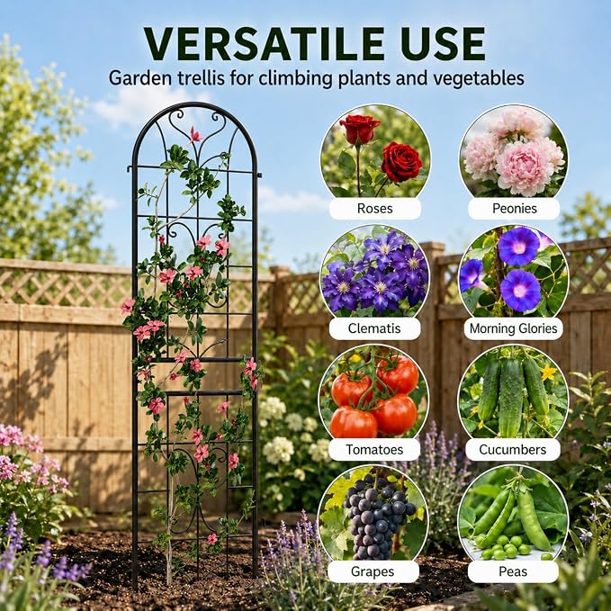2 Pack 87x20in Garden Trellises, Ornate Scrollwork Black Metal Coated Rustproof Trellis for Climbing Plants Outdoor, Roses, Vegetables, Vines, Cucumbers