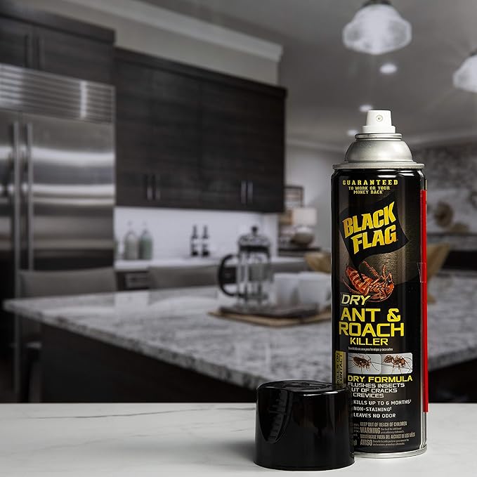 Black Flag Dry Ant And Roach Killer 9 Ounces, Aerosol Spray, Dry Formula, Plain, 1-Count