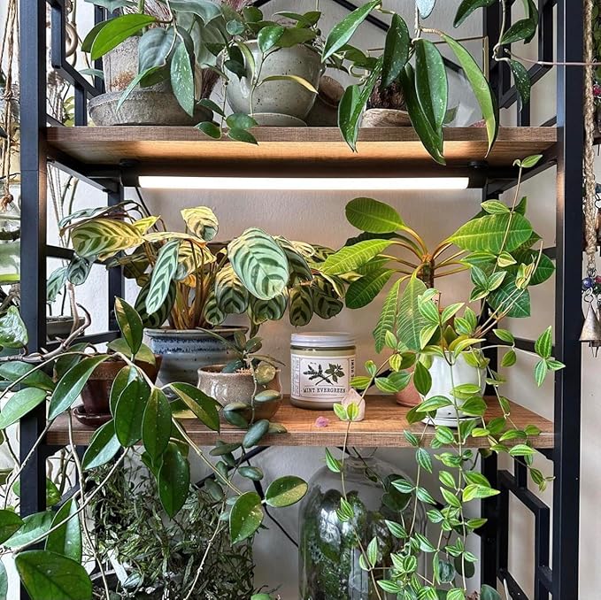 Soltech Solutions Grove™ LED Grow Light - Under-Cabinet/Shelving or wall Mounted LED bar Light for Indoor houseplants and Herbs - Touch Control Power and dimming (Black)