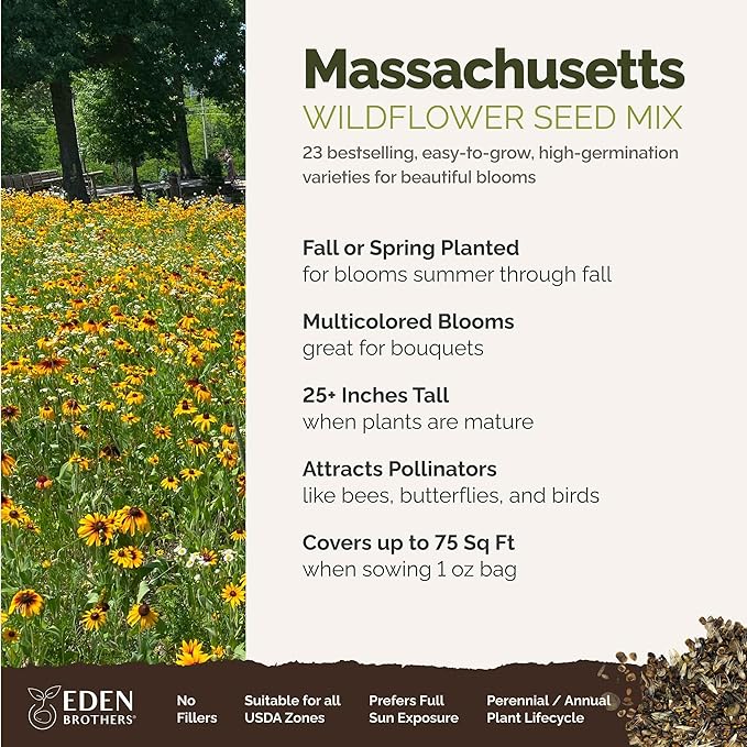 Eden Brothers Massachusetts Wildflower Mixed Seeds for Planting, 1 oz, 30,000+ Seeds with Catchfly, Sweet William | Attracts Pollinators, Plant in Spring or Fall, Zones