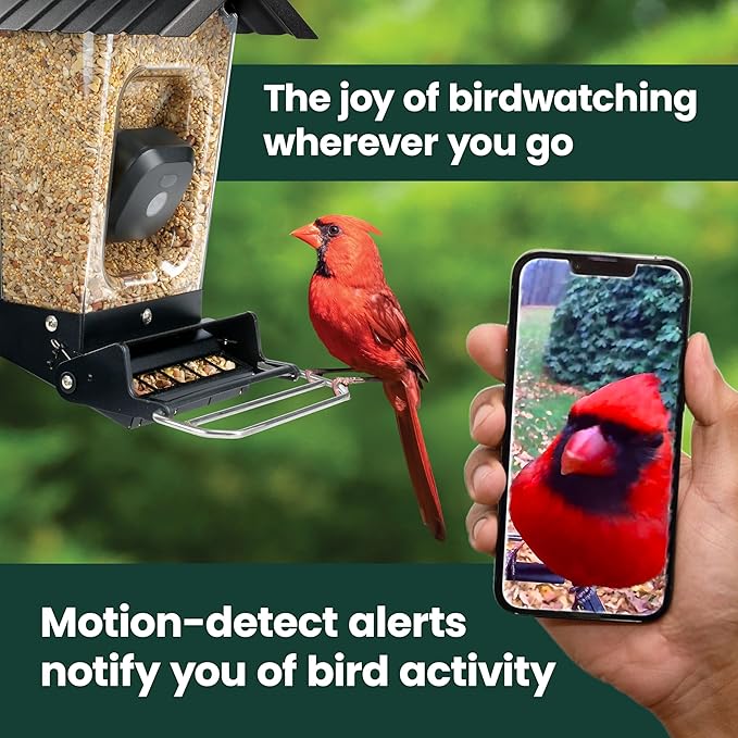 Perky-Pet Solar Powered Smart Bird Feeder with Camera - Squirrel-Resistant, 3.2L Capacity, Motion Activated 1080p HD WiFi Live Stream Camera, SPCAM, SPCAMSLR - Camera Feeder Gift Idea, Blue