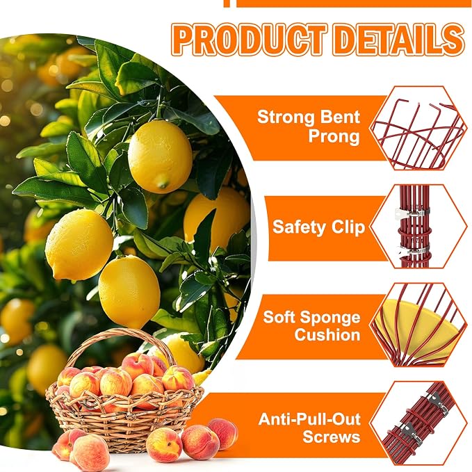 LAANPOLE 36FT Reach Fruit Picker Pole with Basket Telescoping, Apple Picker with 7-30FT Telescoping Pole for Apple Orange Lemon Mango Avocado Guava Fruit Picking