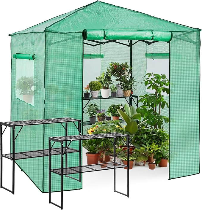 EAGLE PEAK 7x7 Portable Walk in Greenhouse, Pop Up Indoor Outdoor Greenhouse, Green House Kit with Zippered Roll-Up Doors and Windows + Mesh Lining & 2 Foldable Shelves, PE Cover, Clear/Green