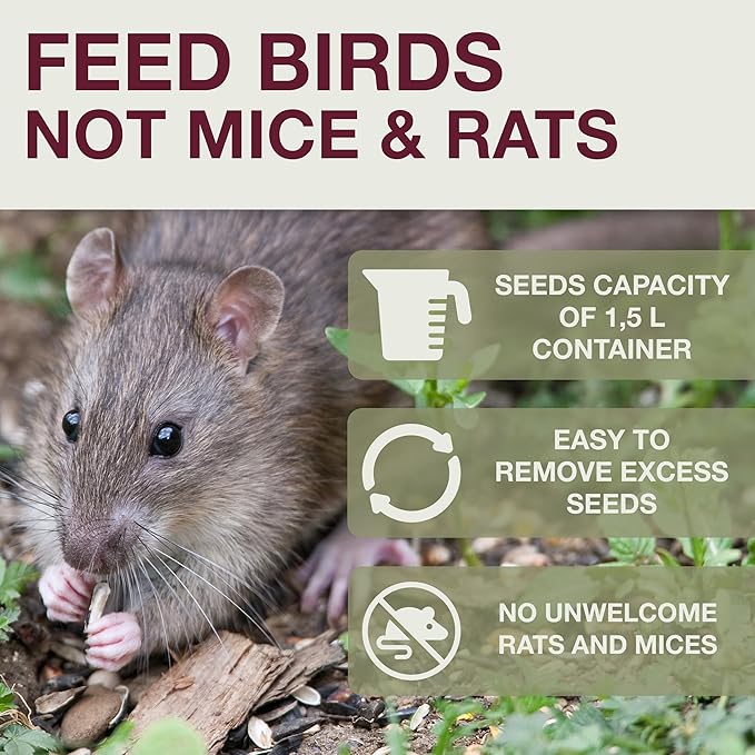 SWISSINNO Bird Feeders - No Mess Fat Ball/Suet Feeder for Outdoors Hanging - Smart Birds Lucerne Spill Proof Wild Cardinal Bird Feeder with Integrated Seed Catcher Tray - Light Grey