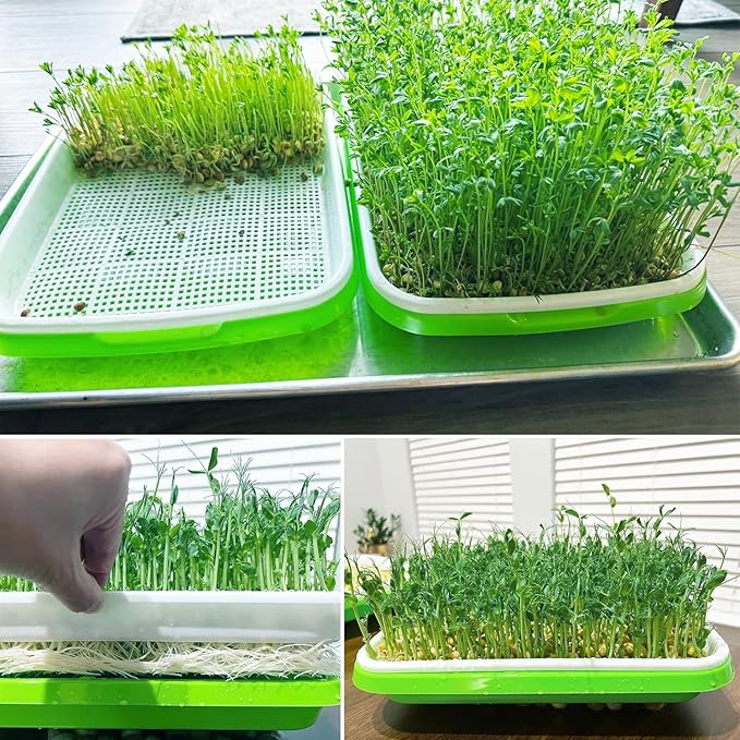 20 Pack 12.6 x 10 x 1.8 inch Microgreens Growing Trays, BPA-Free Sprouting Trays, Germination Tray for Beans, Wheatgrass & Microgreens, Home, Kitchen & Garden