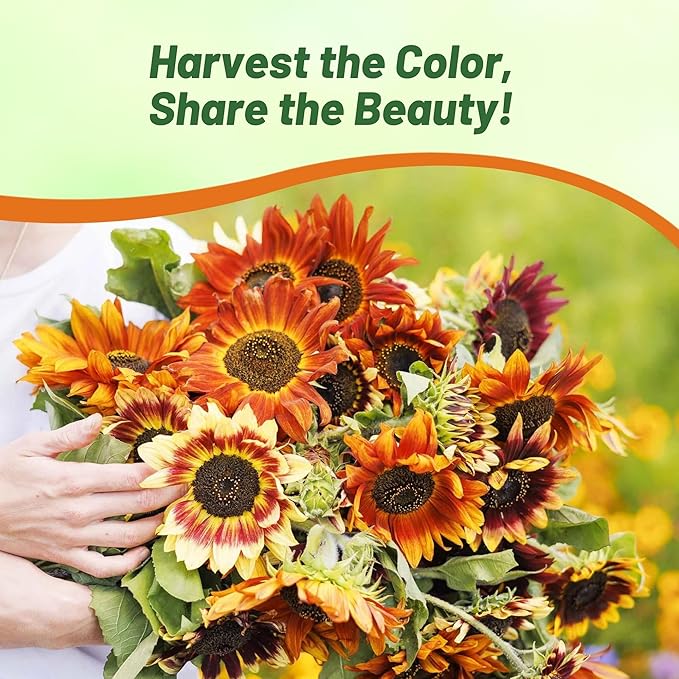 Outsidepride Autumn Beauty Sunflower Seeds for Planting - 5 Lbs. Annual, Easy to Grow Flower Seeds w/Vibrant, Abundant Blooms for Cut Flower Arrangements & Pollinator & Vegetable Gardens