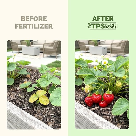 Strawberry Fertilizer – Liquid Plant Food for Better Flowering, Bigger Berries & Stronger Root Runners, 8 oz