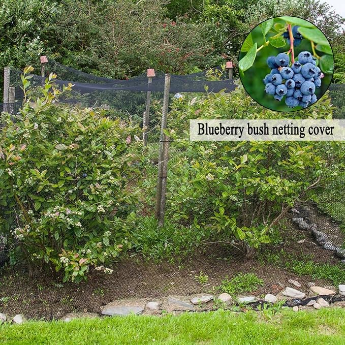 Junflying Bird Netting, 25x25 FT – 1/2" Mesh, Woven Garden Netting Against Birds, Deer, Rabbits, Small Animals, Mesh Net Roof Cover for Bed, Vegetables, Fruit Tree, Blueberry Bush & Strawberry Plant