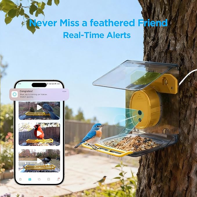 Smart Bird Feeder with Camera Solar Powered,2K UHD Video Live Stream,Easy Set Up,AI Bird Species Identification, Auto Capture Videos&5MP Photos,Instant Alerts,Gifts for Bird Lovers