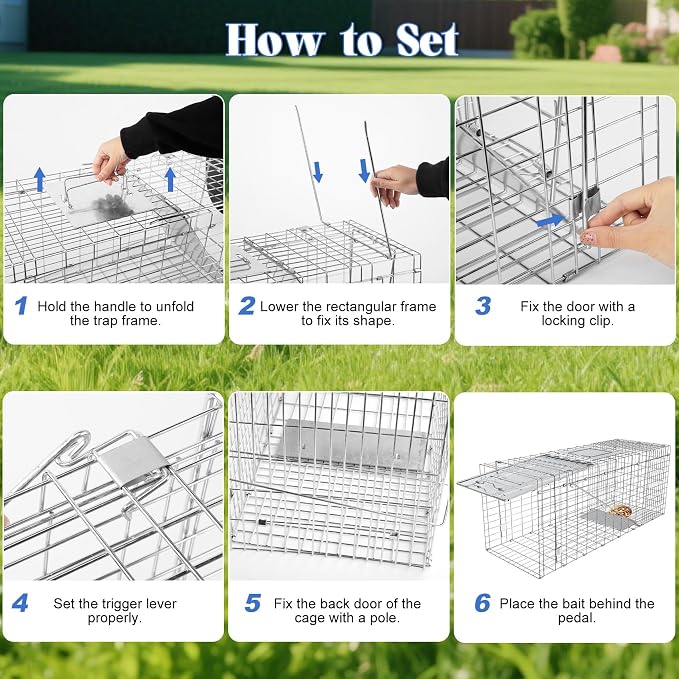 Humane Live Animal Trap, Heavy Duty Folding Raccoon Traps Cage for Cat, Squirrel, Skunk, Raccoon, Fox Catch and Release Large Size 31.1 * 11 * 12.6 Inch