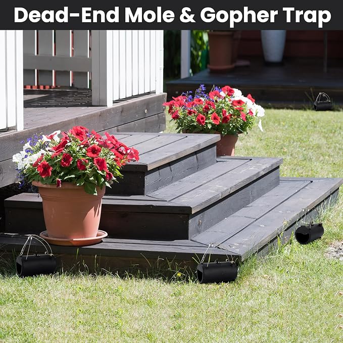 Qualirey 4 Pack Black Hole Gopher Trap 6.7 Inch Tunnel Mole Traps Gopher Killer Outdoor Vole Traps Rodent Rat Stations Reusable for Lawn Yard Garden